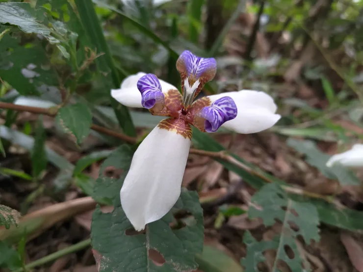 圖片來源：自攝