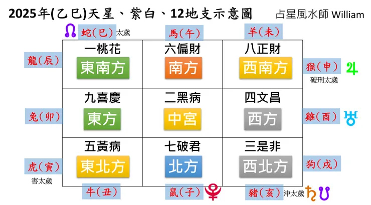 2025年(乙巳)天星、紫白、12地支示意圖