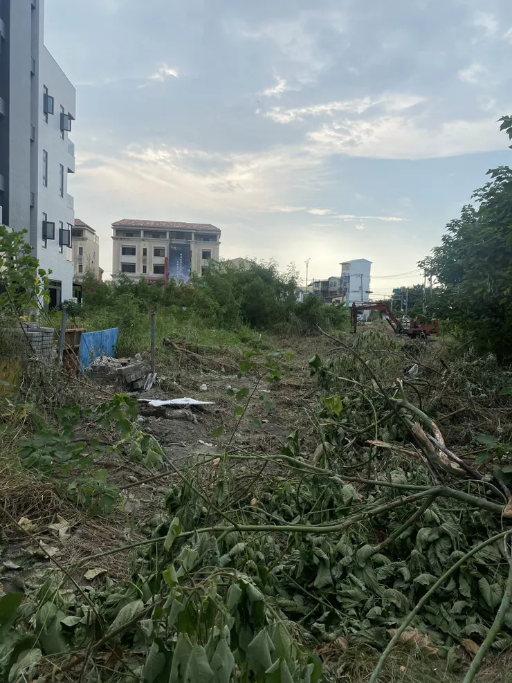 往埔心方向的草叢已經看步道任何鐵道的遺蹟