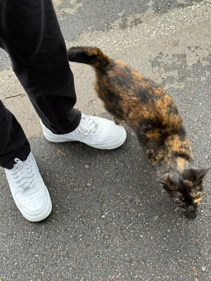 2026/04/01 蹭鳳梨酥哥