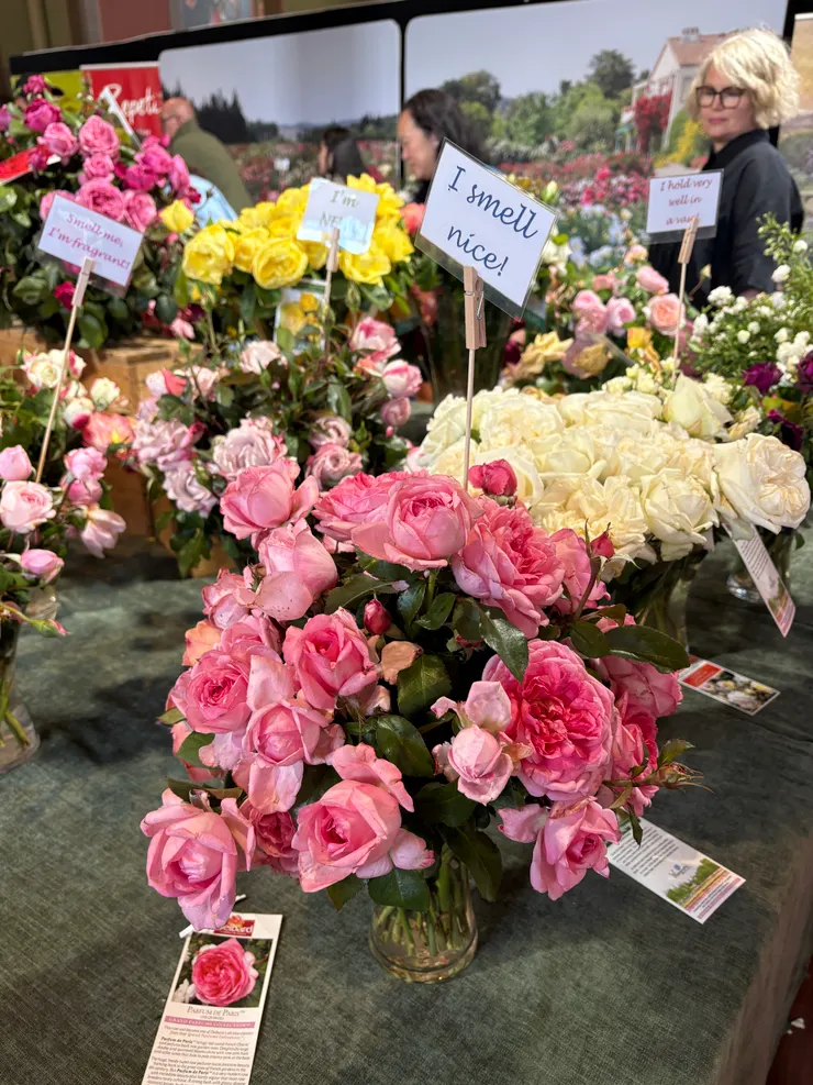 各種花朵可試聞味道。