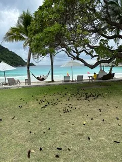 隨時都有蝴蝶飛舞