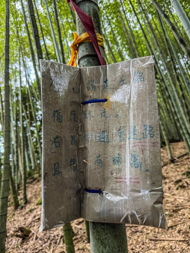 在這裡取左,因為右邊會迷路而且有蜂窩