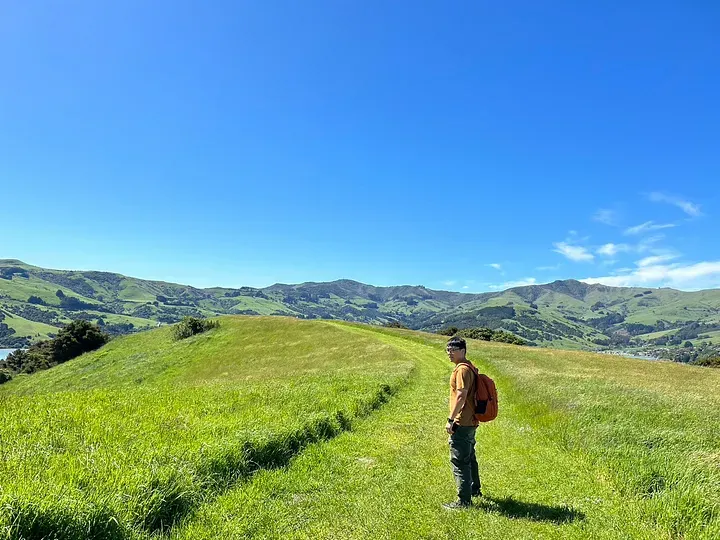 無人小島Ōnawe Peninsula，建議退潮再來