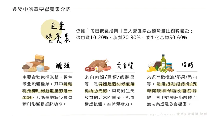 巨量營養素介紹 - 療癒系營養師 智睎