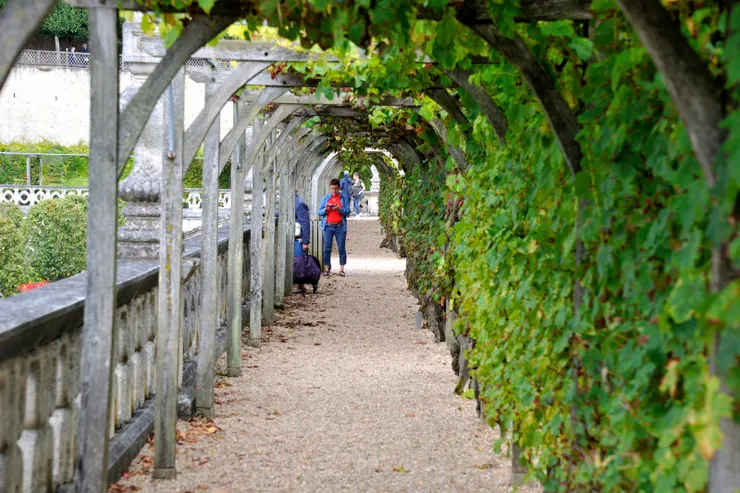 【灌溉渠旁的葡萄綠道】