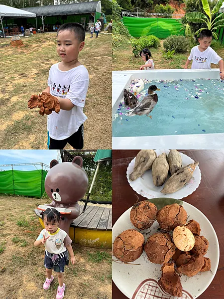 006208｜投資月報(2023.08)