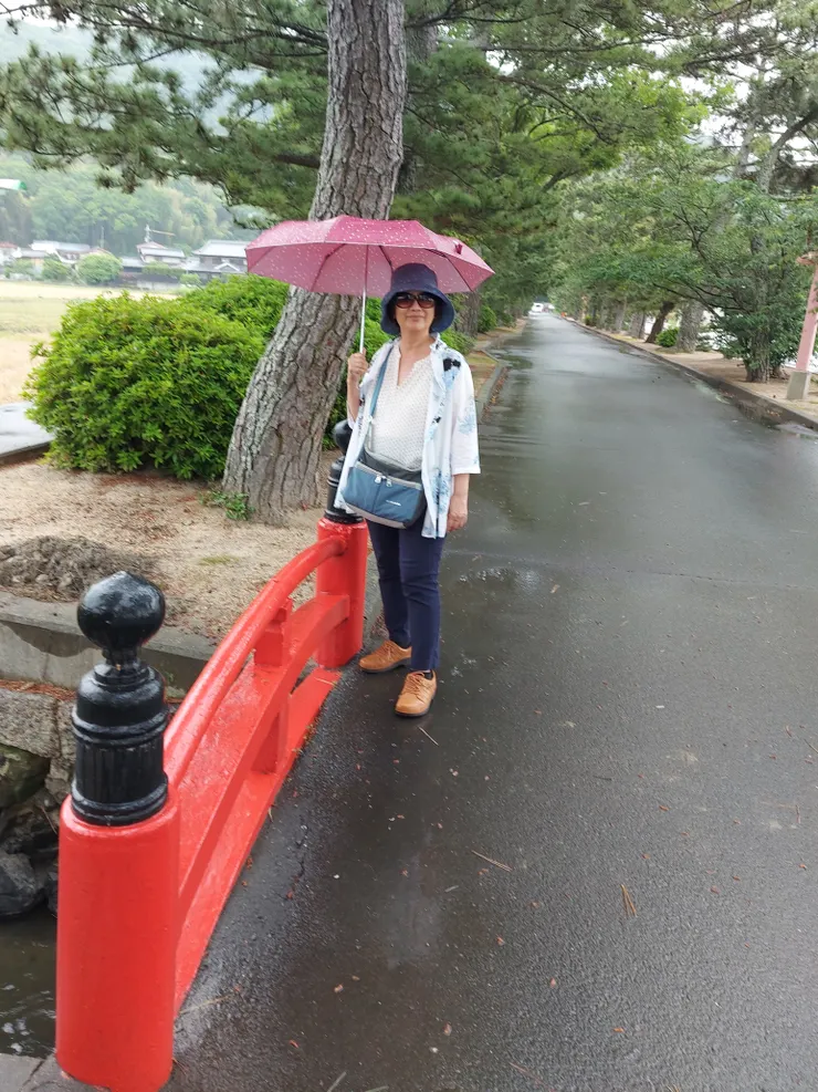 吉備津の松並木