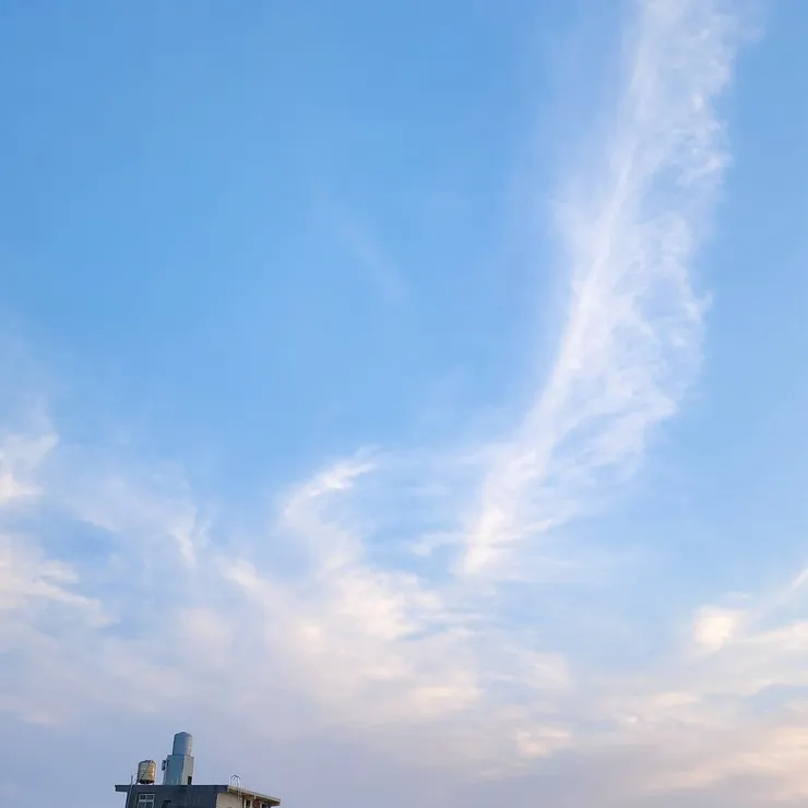 抬頭一瞥倚天劍