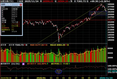 交易復盤｜停損