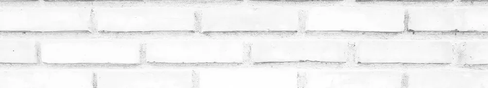 奔跑蝸牛的沙龍