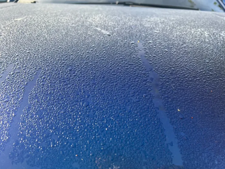 清晨的露水