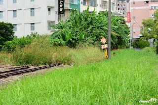 台鹽倉庫側線出來前有一隻鳴字標(向北拍)