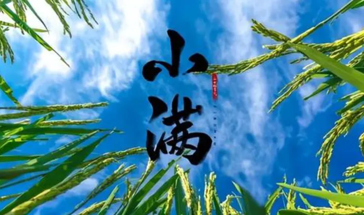 圖片取自網路加以裁剪而成，侵權刪。