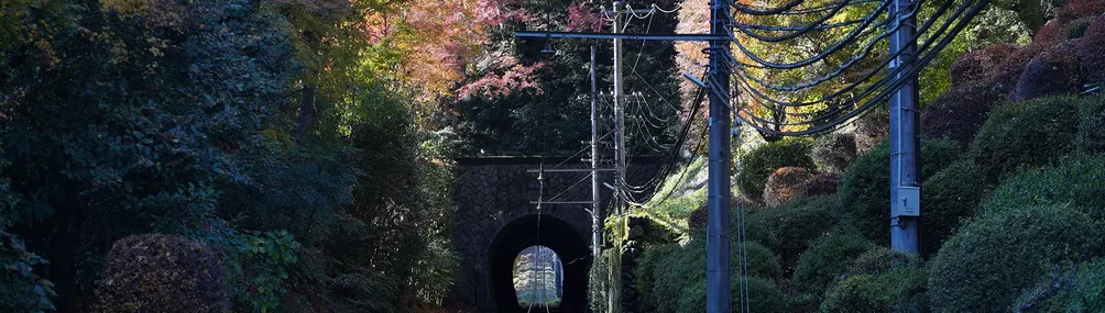 雑談通信的沙龍