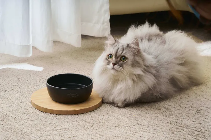 圖說：貪貪Munchee利用回收烏金菱殼碳，加上職人手作工藝，將原本視為垃圾的廢棄物賦予新生命，落實循環經濟。（資料來源：貪貪Munchee）