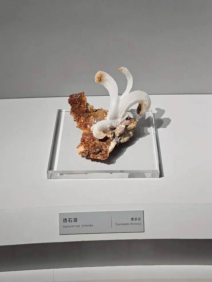 透石膏(摩洛哥)