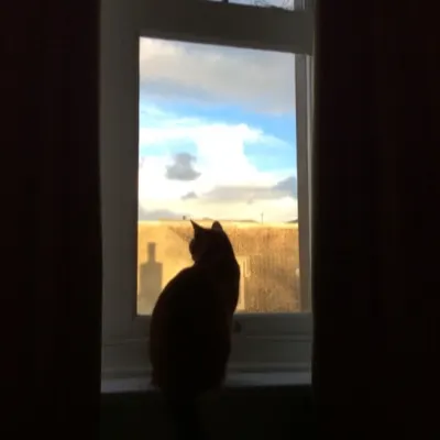 踩萍飲水的沙龍