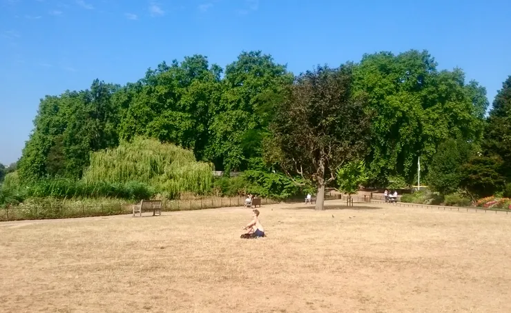 英國小哥不放棄任何一絲陽光的決心。