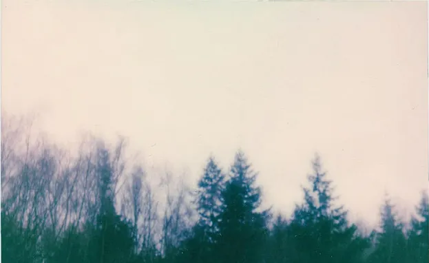 攝影師：Lisa Fotios