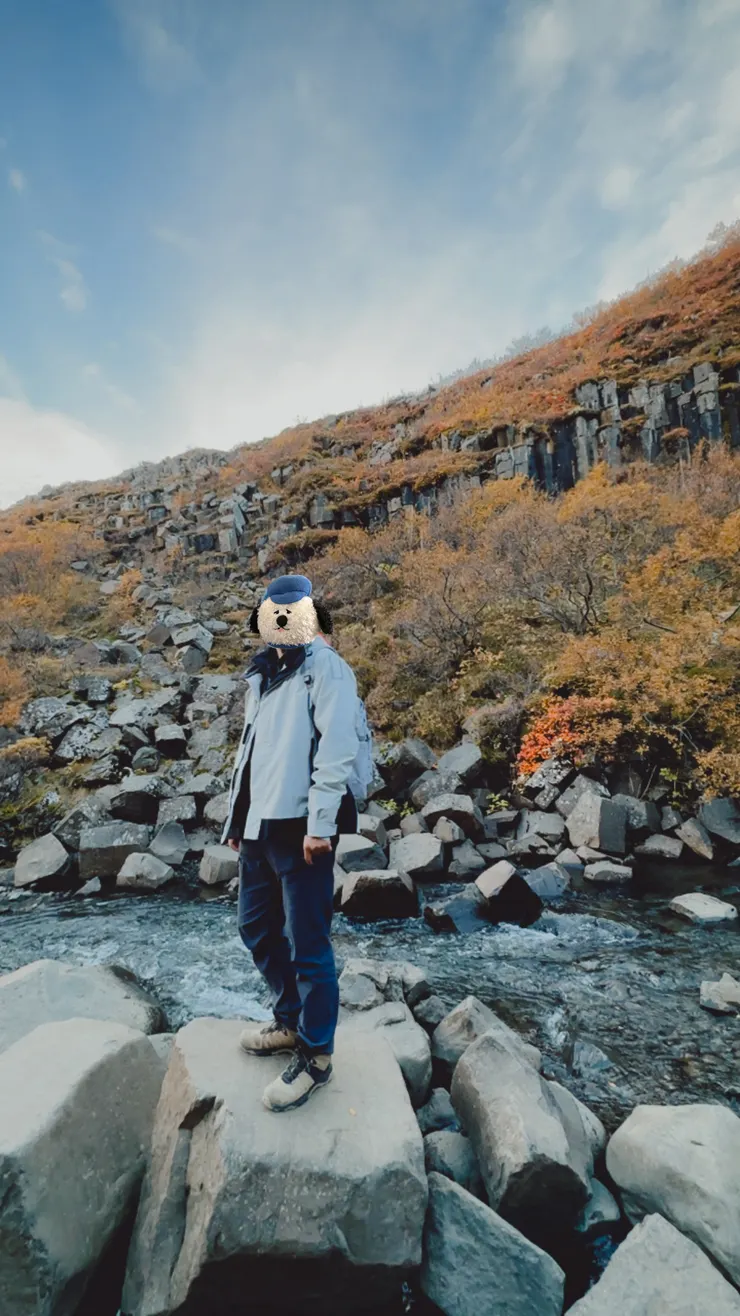 理工男成為冰島玄武岩粉絲,一直誇說好帥。