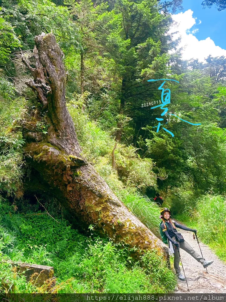 【2024夏。高繞上奇萊南華2天1夜】雲天宮出發高繞路線4.