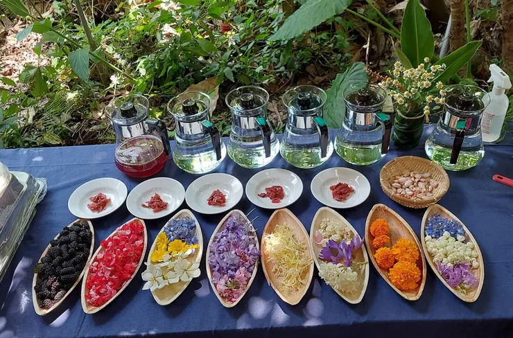 在一個與大自然相結合的環境,我們正在舉行一場別開生面的春日花宴!