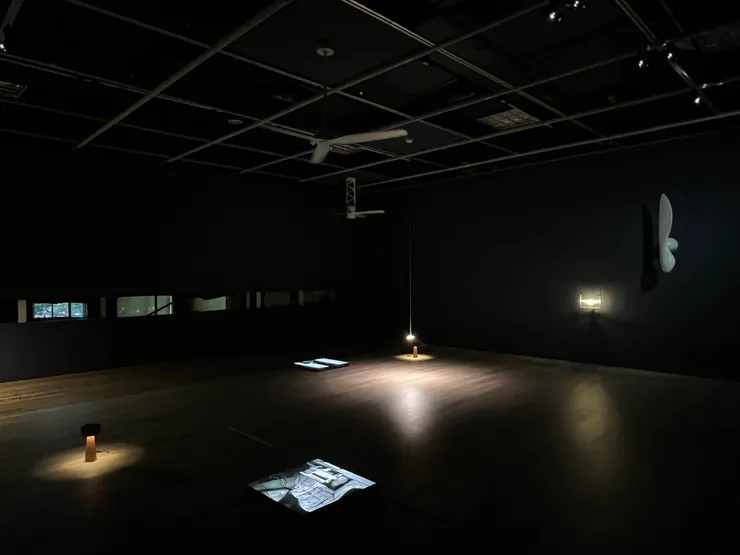 《合作者的居所》