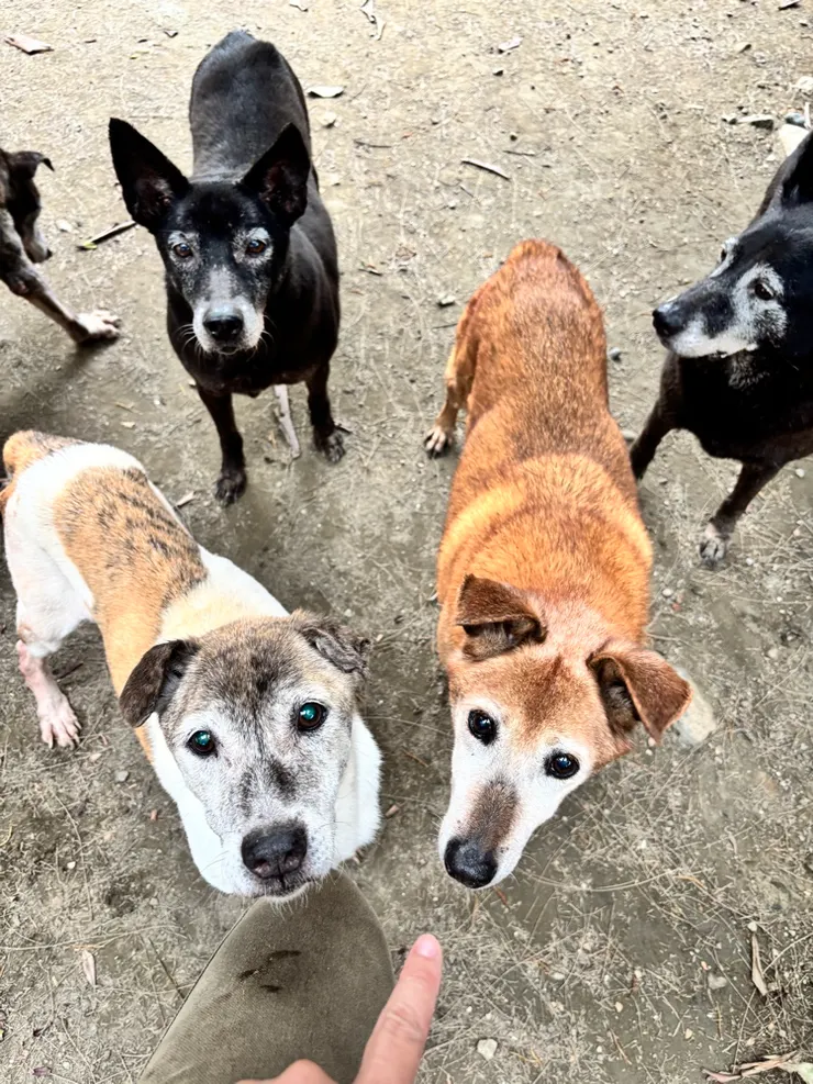 現在的斑跟室友們