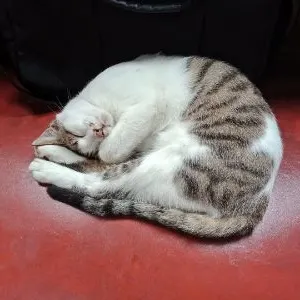 離海很近的地方的沙龍