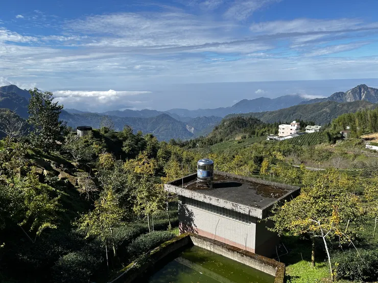 霞之步道前景色