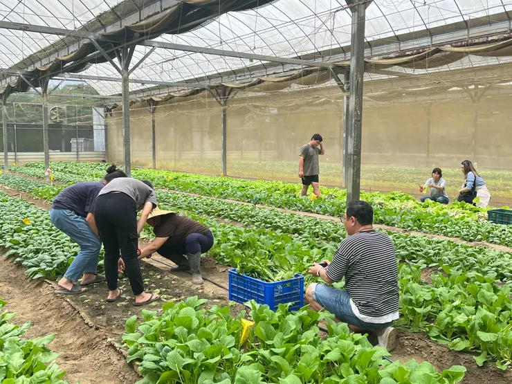 來自本土的MIT寵糧，倍力最懂生活在台灣的毛孩！嚴選有機農產食材製成寵食，讓狗貓吃得安心。（資料來源：倍力寵物健康食品）