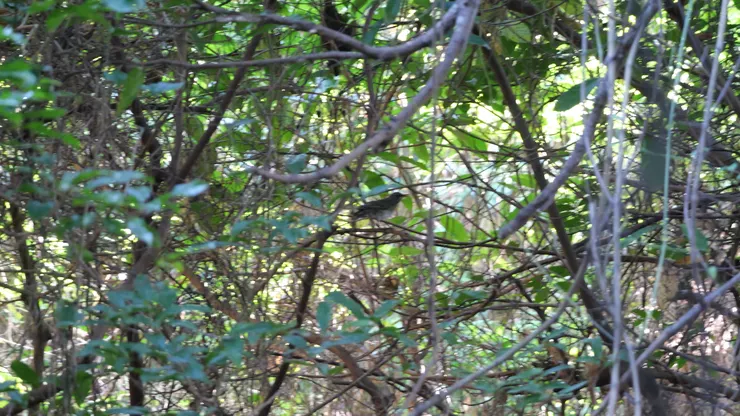 沒有防震的後果