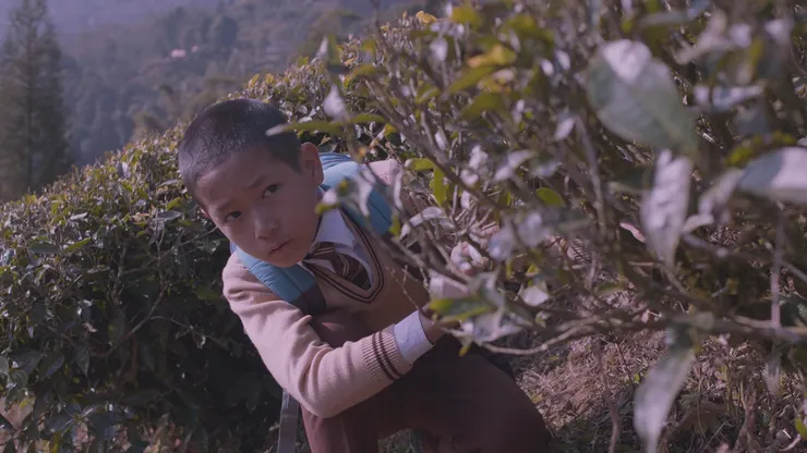 《那山那狗那女孩》電影劇照／金馬影展