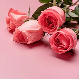 靈魂旅人的沙龍