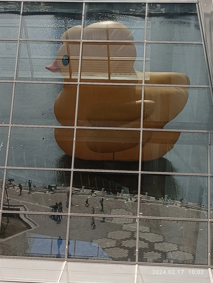 小鴨海音館鏡中的影像，自拍攝