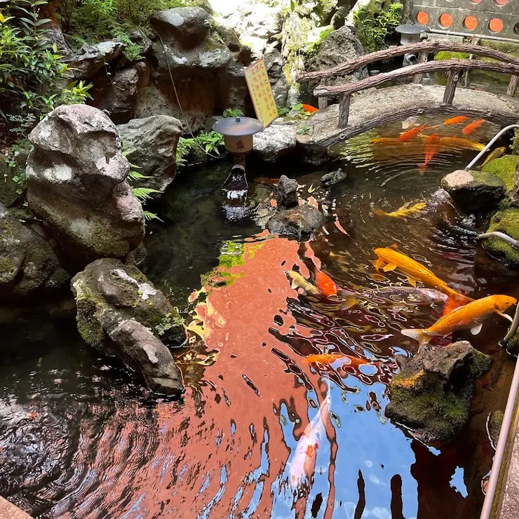 池塘造景（圖片截圖於網路）