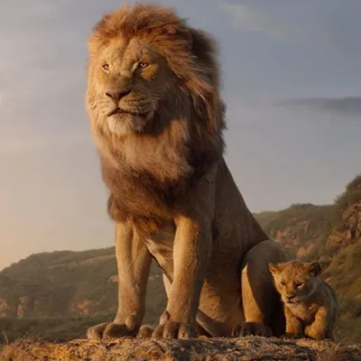 地方爸爸的日誌