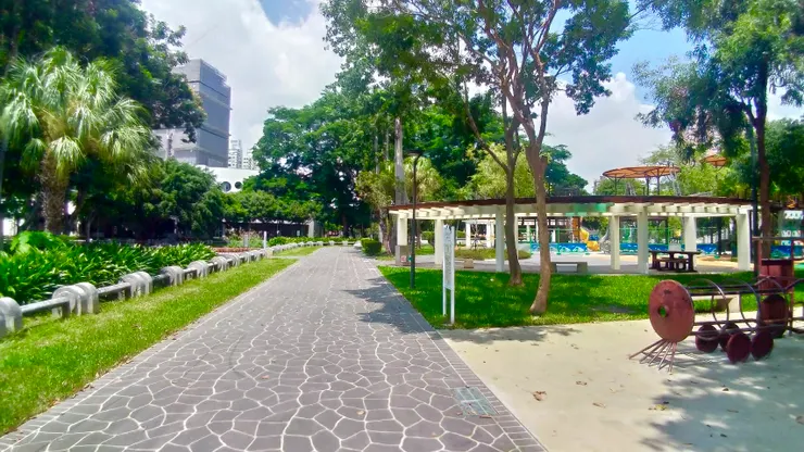 附近公園的白天