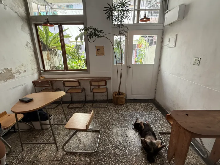 用餐座位不擁擠，但只有11個位子