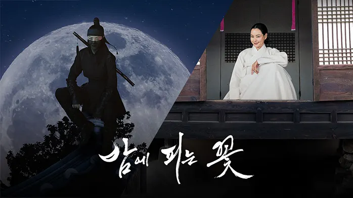 Photo：《夜晚盛開的花》宣傳海報