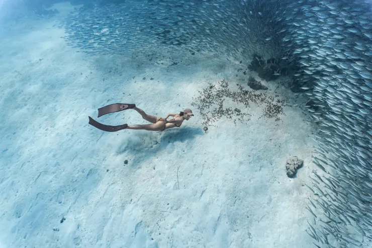 沙地地形的黑島