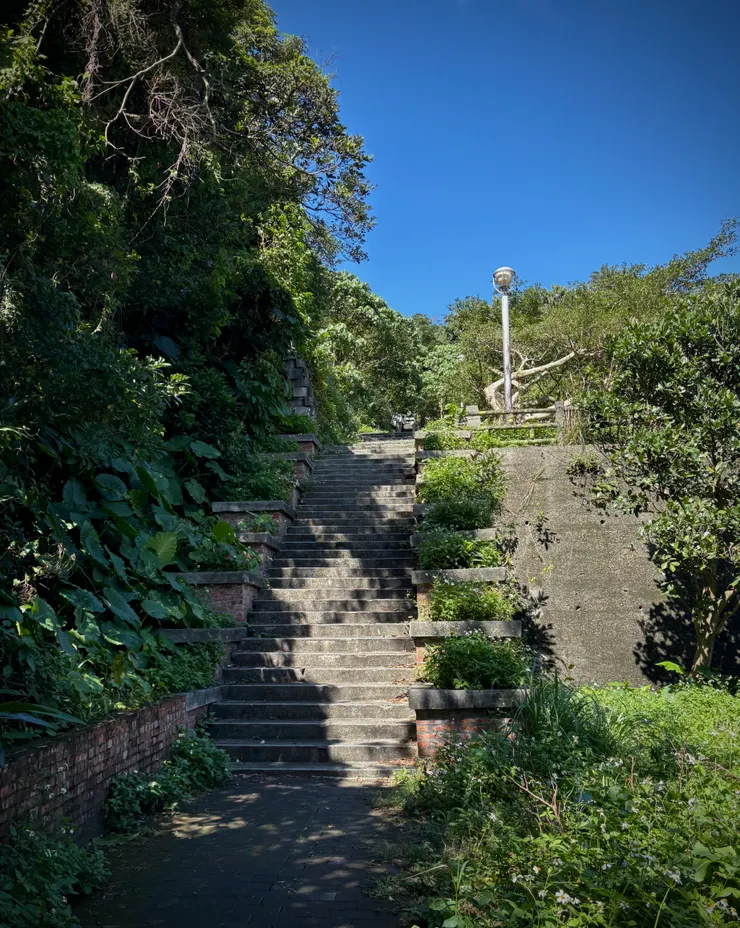 從度天宮走往六五高地的路徑雜草不少