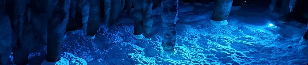 紫洵一的創作平台