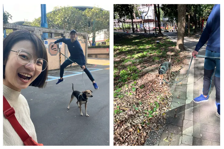 奶爸倒是很有活力