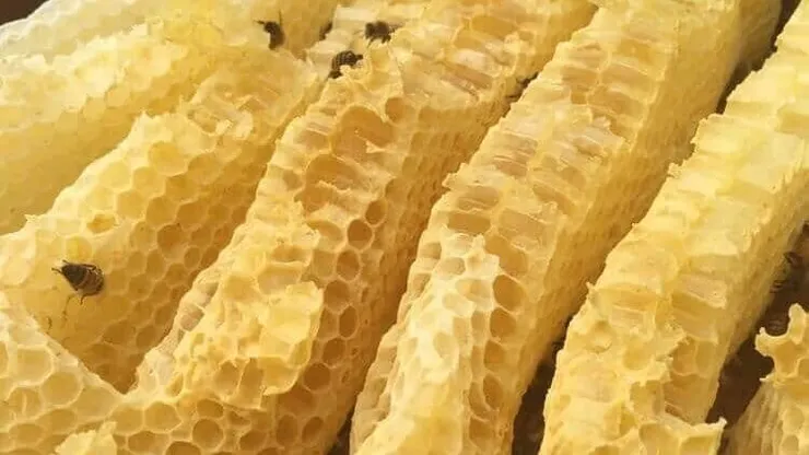 蜂槽片