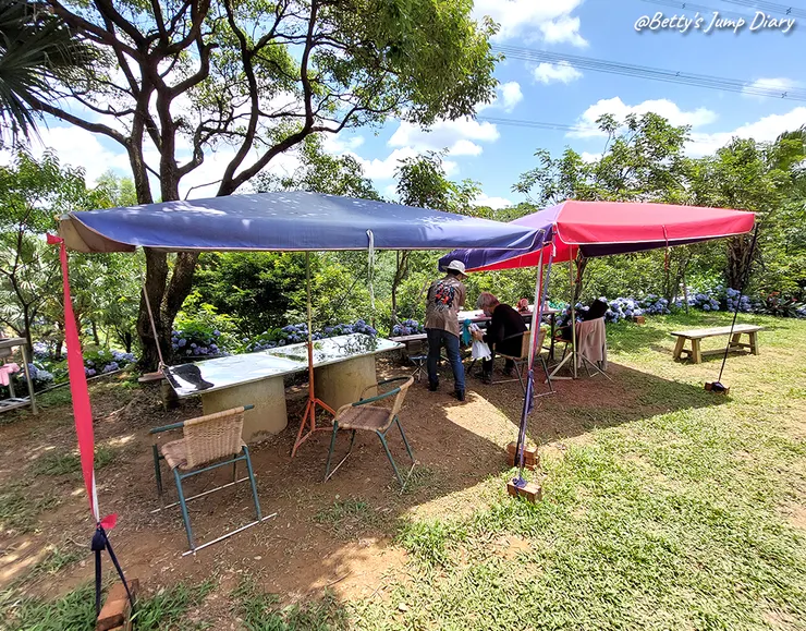 ▲桃園龍潭「穧粑崠咖啡農場」、「越軌咖啡」/ 圖片來源：Betty's Jump Diary