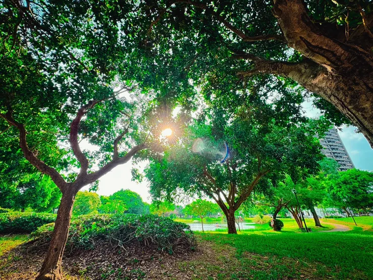 學會觀察日常的美好