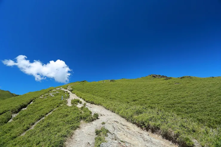 好友LUKE攝影作品，一路走好，我們天上見。