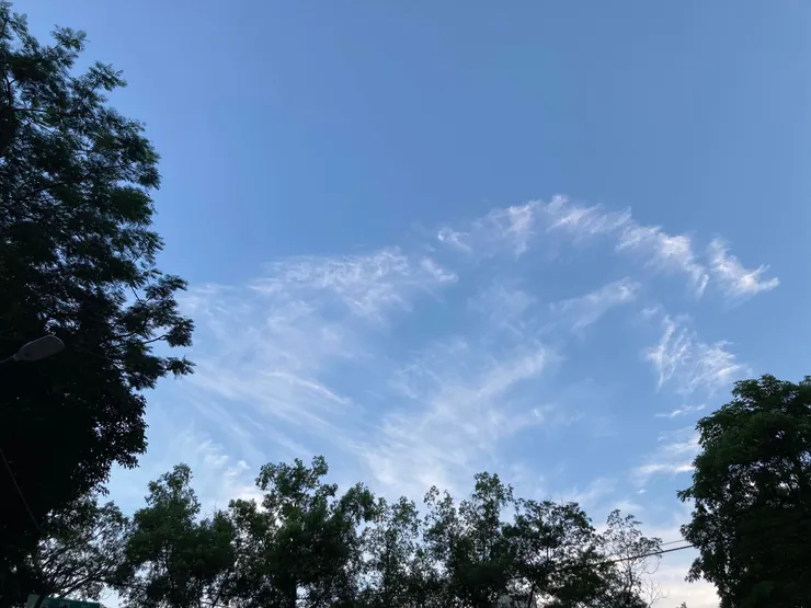 某天傍晚看見的美麗散狀雲＞／／／＜